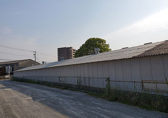 スレート屋根交換及びバンボライト取替image